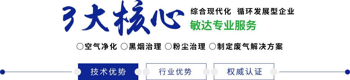 粗大鸡扒抽查嗯啊视频敏达环保科技（嘉兴）有限公司